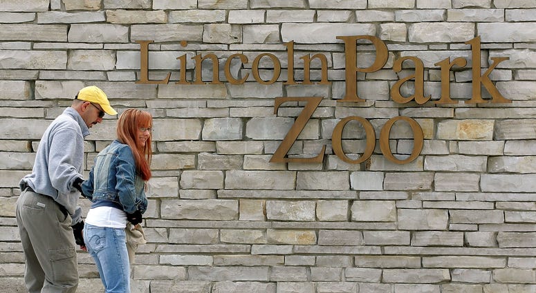 A couple skates toward an entrance to Lincoln Park Zoo May 16, 2005 in Chicago, Illinois. A couple skates toward an entrance to Lincoln Park Zoo May 16, 2005 in Chicago, Illinois.