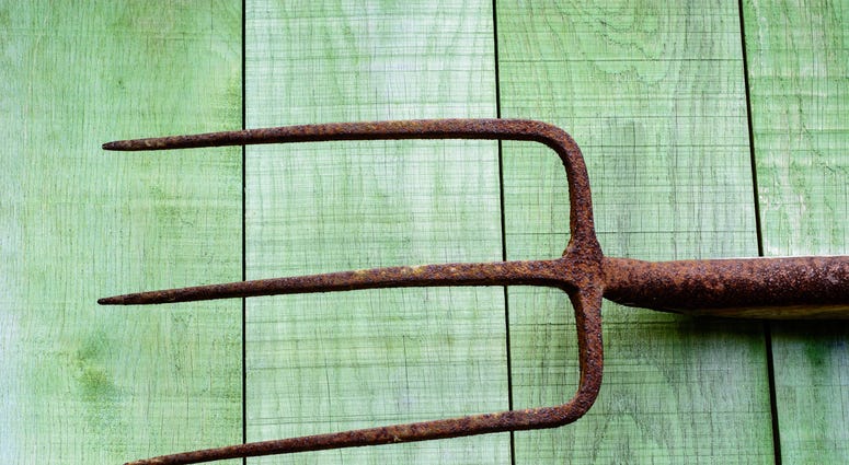 Pitchfork Pitchfork