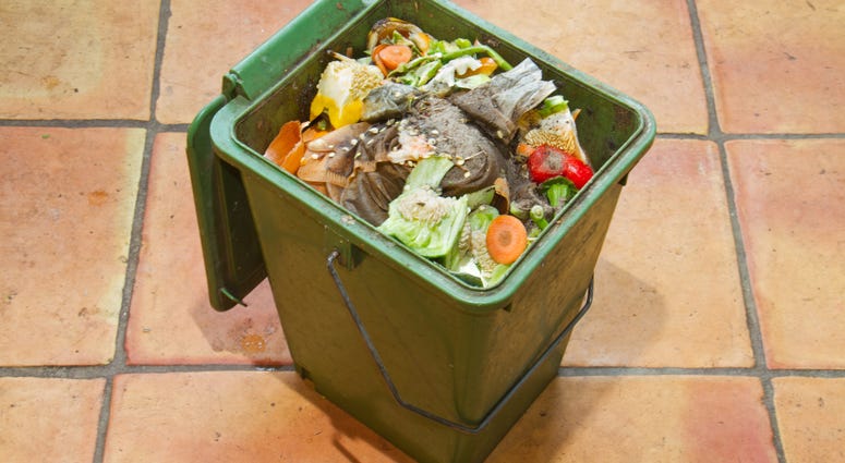 Compost Compost