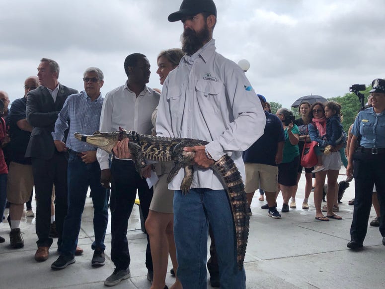 Frank Robb, an alligator expert with the alligator captured in the Humboldt Park lagoon Frank Robb, an alligator expert with the alligator captured in the Humboldt Park lagoon