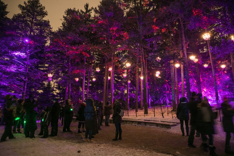 Illumination: Tree Lights