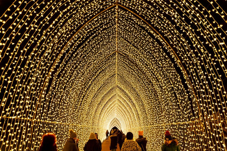 Lightscape at The Chicago Botanic Garden Lightscape at The Chicago Botanic Garden