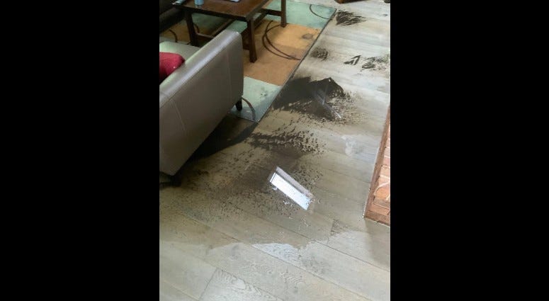 A Michigan City homeowner says the damage caused by a city crew cleaning out the sewer lines outside her home is “devastating,” and will cost tens of thousands of dollars for repairs and lost rental income. A Michigan City homeowner says the damage caused by a city crew cleaning out the sewer lines outside her home is “devastating,” and will cost tens of thousands of dollars for repairs and lost rental income.