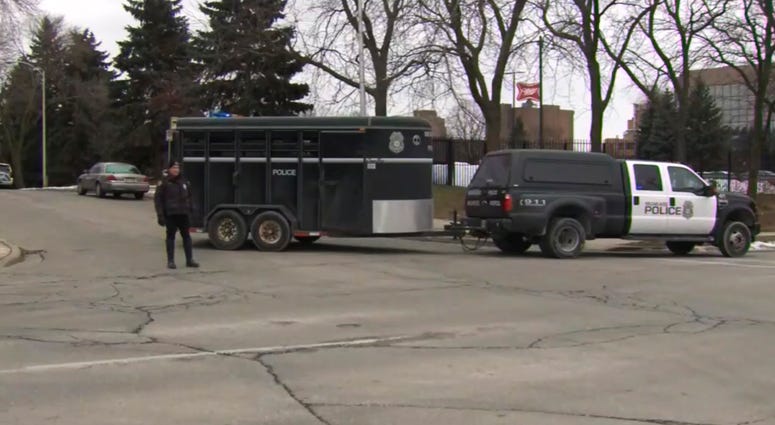 Milwaukee Shooting