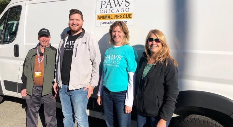 Facebook/PAWS Chicago