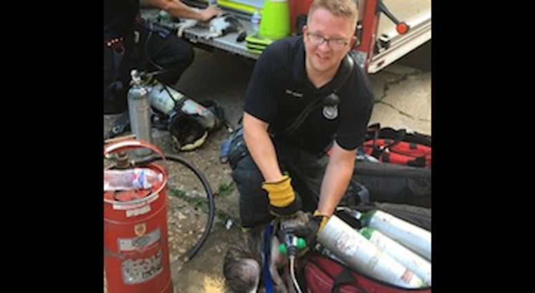 Evanston Fire Department rescued four animals after extinguishing a fire, Aug. 20, 2019. Evanston Fire Department rescued four animals after extinguishing a fire, Aug. 20, 2019.