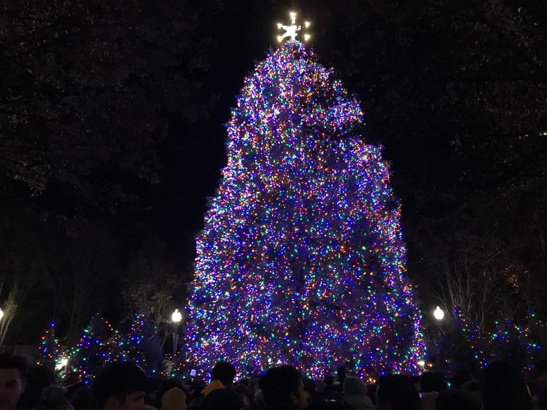 Christmas Tree Chicago 2019