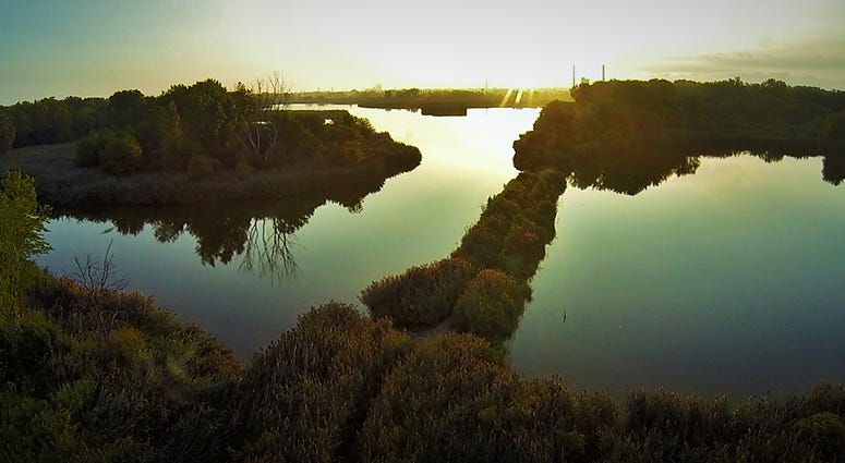 Big Marsh Big Marsh