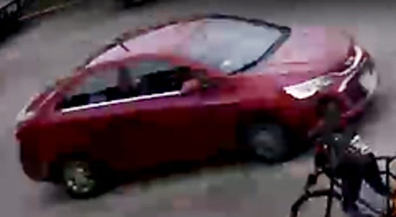 Portage Park Hit and Run Portage Park Hit and Run