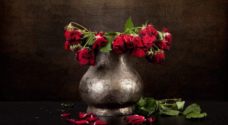 Wilted Flowers