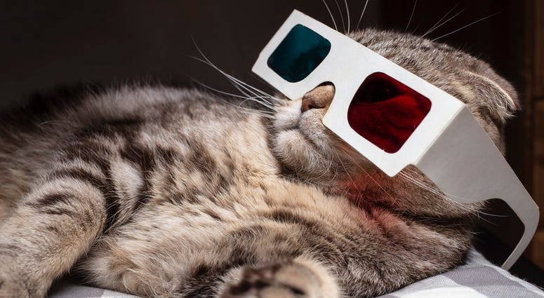 Cat Video 3-D