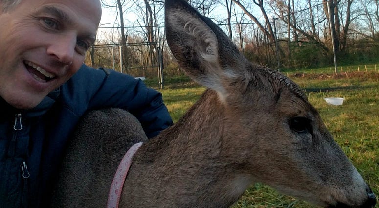 Marty Gerdisch and his deer, Abigail Marty Gerdisch and his deer, Abigail