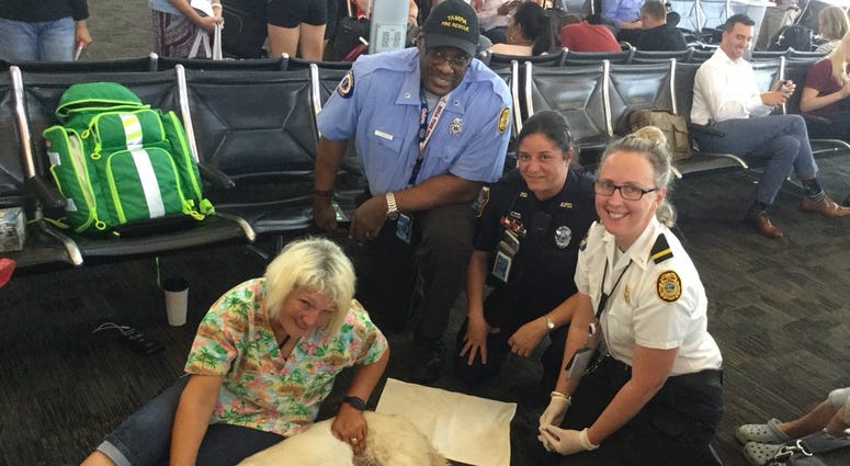 Service dog has puppies at airport Service dog has puppies at airport