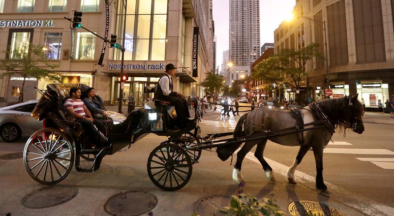 Horse And Carriage