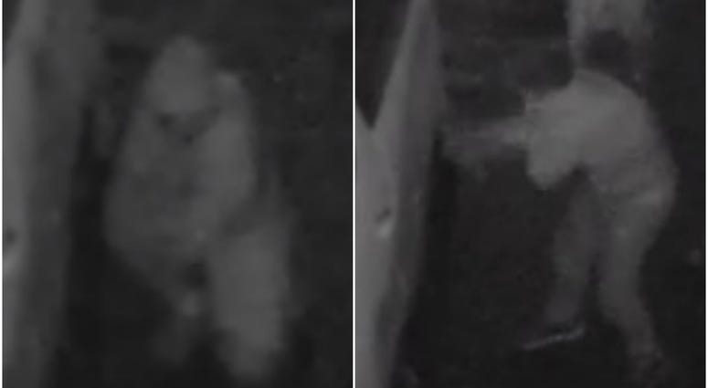 Images of vandalism suspects Images of vandalism suspects