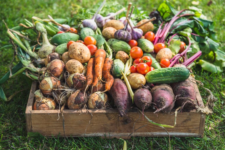 Produce Farmer's Market