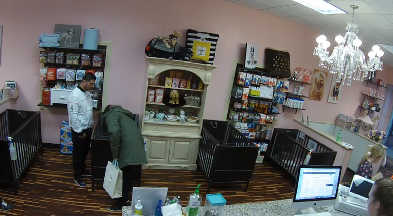 A pet store in Joliet is asking the public for help in identifying the men who allegedly stole a French bulldog puppy on Monday afternoon. A pet store in Joliet is asking the public for help in identifying the men who allegedly stole a French bulldog puppy on Monday afternoon.