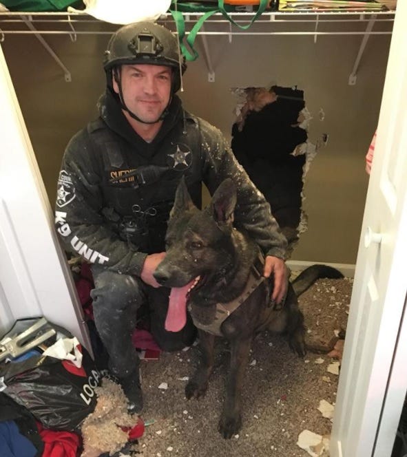 Dax Lake County IL Police Dog Dax Lake County IL Police Dog