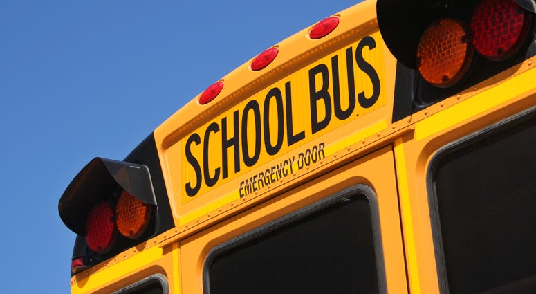 School Bus School Bus