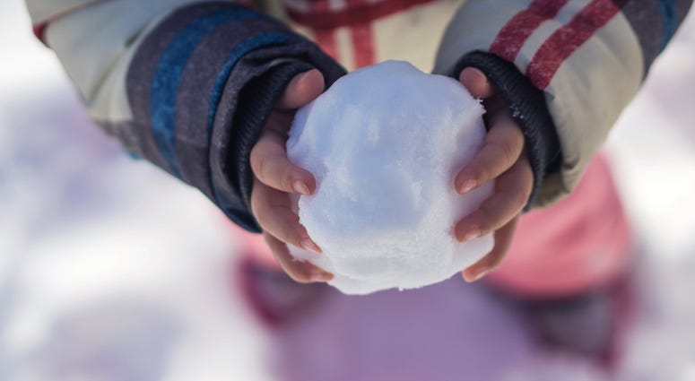 Snow Ball Generic