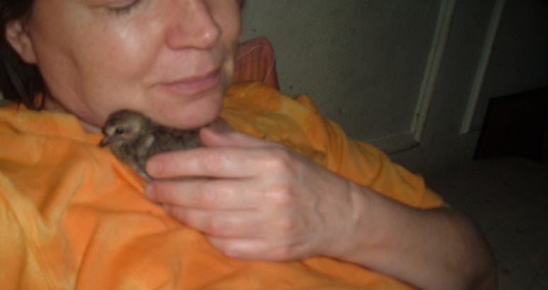 Karen Bradley and Bobo