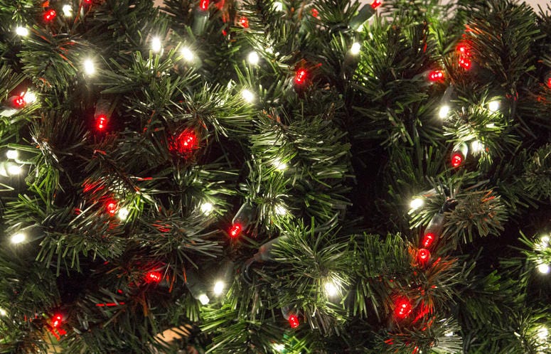 Tree Lighting Tree Lighting