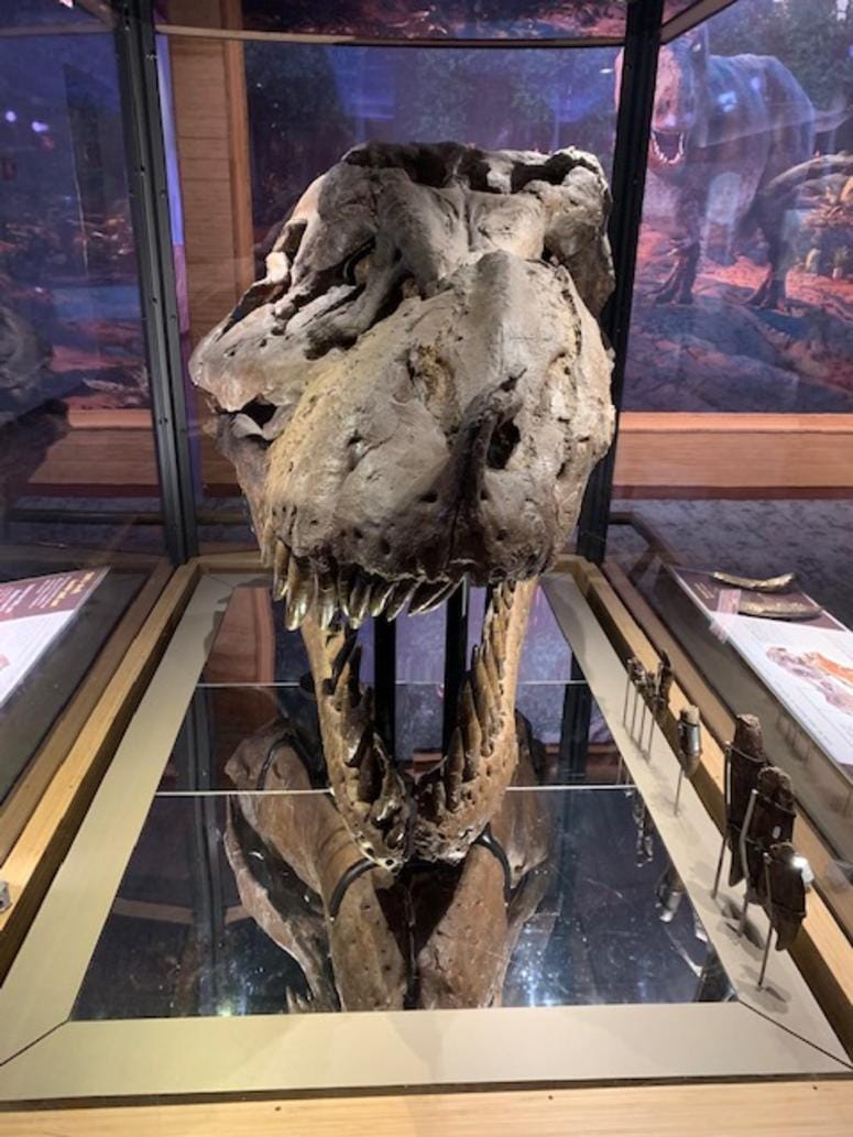 SUE the T. rex