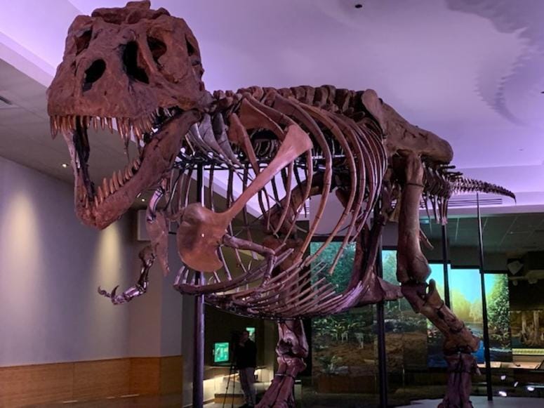SUE the T. rex