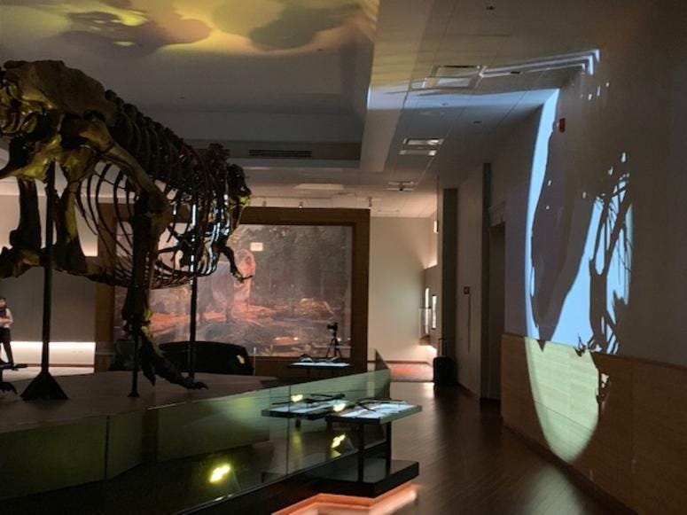 SUE the T. rex