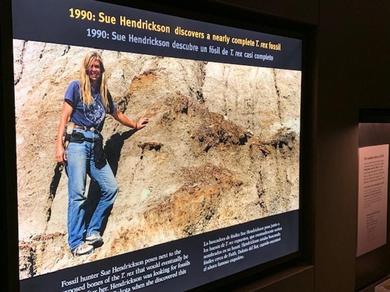 SUE the T. rex