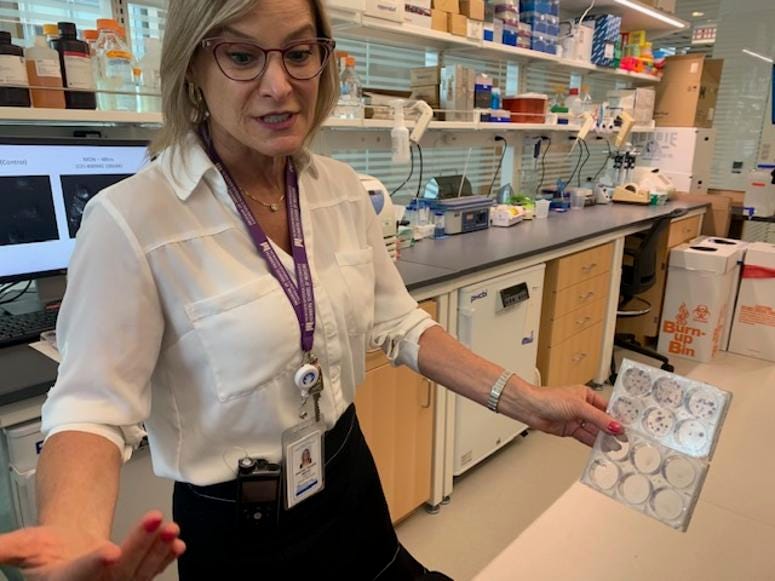 Dr. Simone Shredni Dr. Simone Shredni