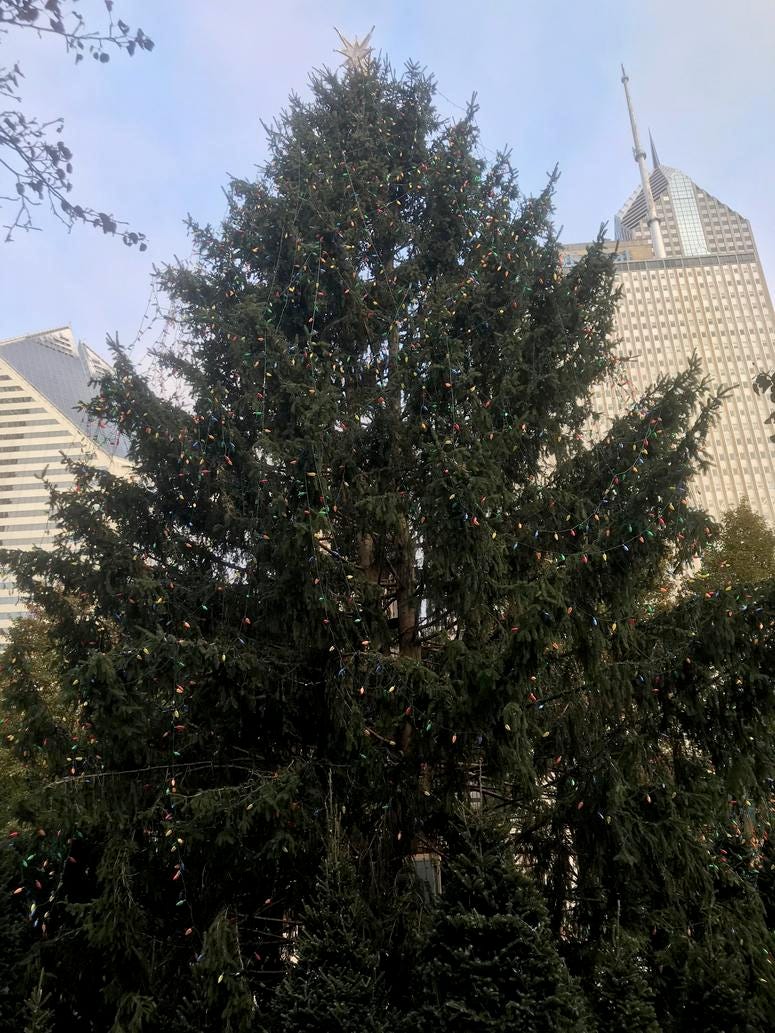 Chicago Christmas Tree