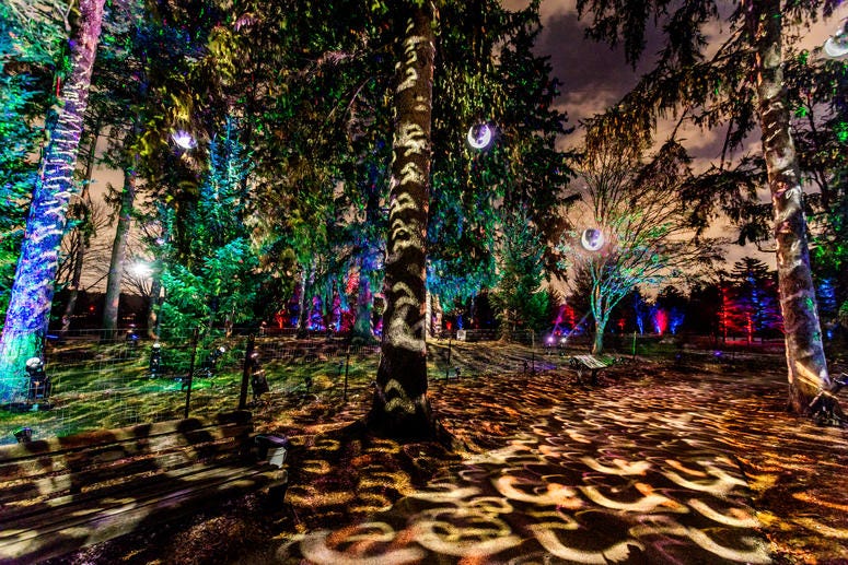 Illumination: Tree Lights