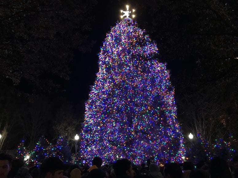 Christmas Tree Chicago 2019