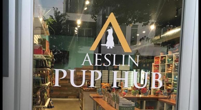 Aeslin Pup Hub