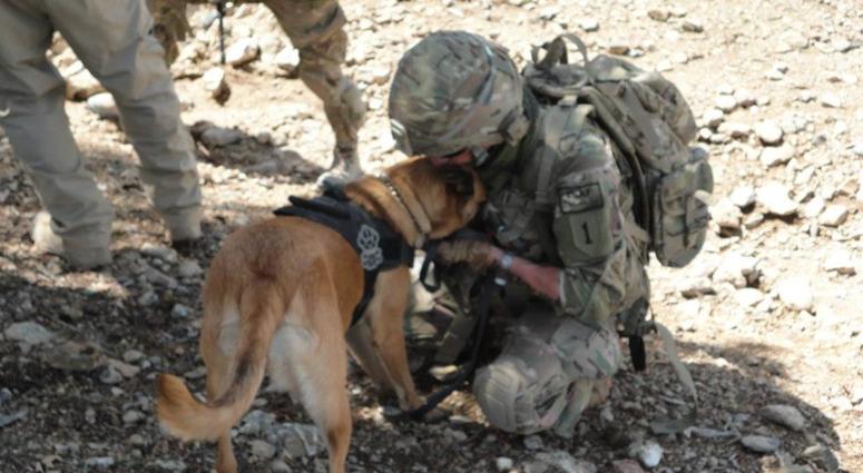 Joseph Steenbeke and Tess, the bomb stiffing dog
