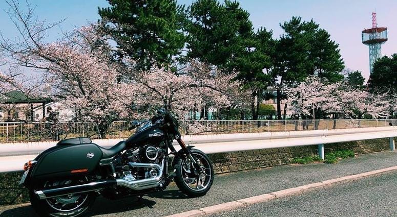 Harley-Davidson thinks it's found a way to attract a lot of applicants for one of its summer internships.