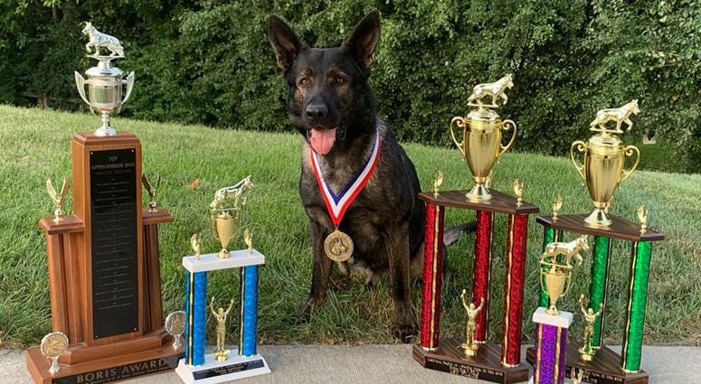 K9 Dax K9 Dax