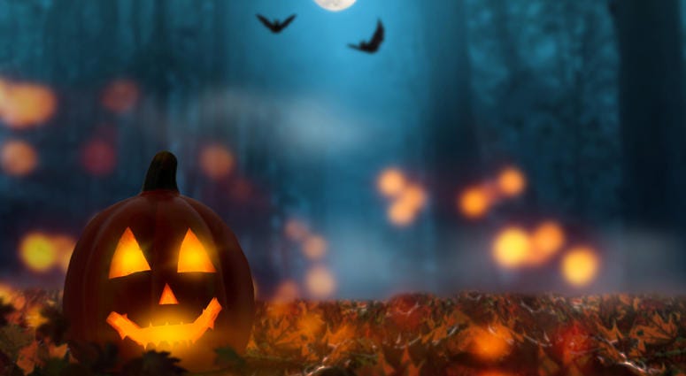 Halloween Halloween