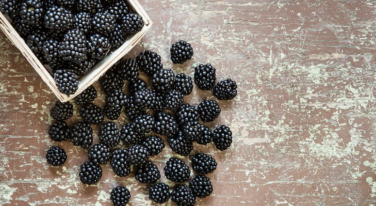 Blackberries Blackberries