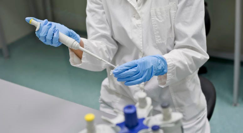 DNA Testing DNA Testing