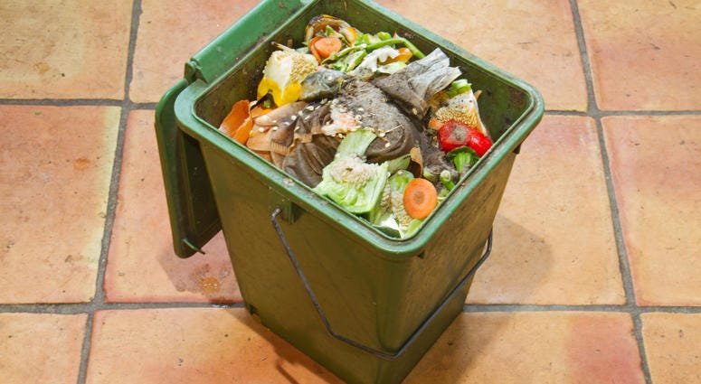 Compost Compost