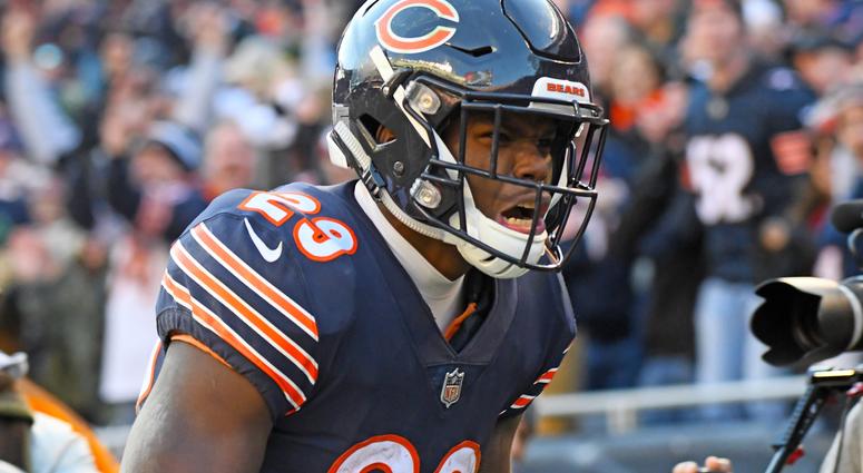 Dec 16, 2018; Chicago, IL, USA; Chicago Bears running back Tarik Cohen (29) reacts against the Green Bay Packers during the second half at Soldier Field. Mandatory Credit: Mike DiNovo-USA TODAY Sports Dec 16, 2018; Chicago, IL, USA; Chicago Bears running back Tarik Cohen (29) reacts against the Green Bay Packers during the second half at Soldier Field. Mandatory Credit: Mike DiNovo-USA TODAY Sports