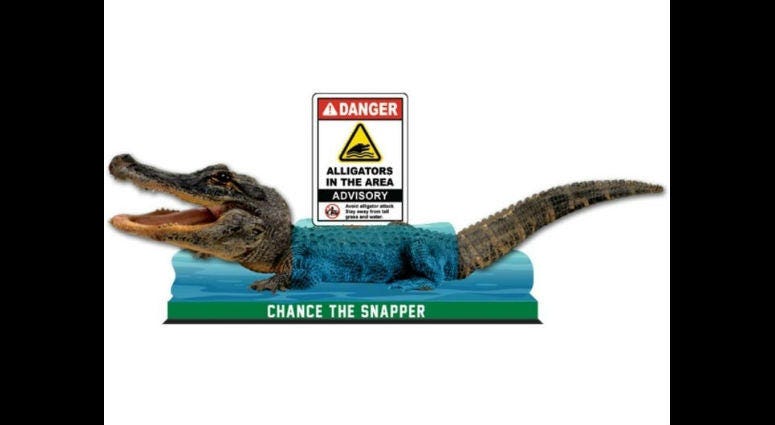 "Chance the Snapper" bobblehead "Chance the Snapper" bobblehead