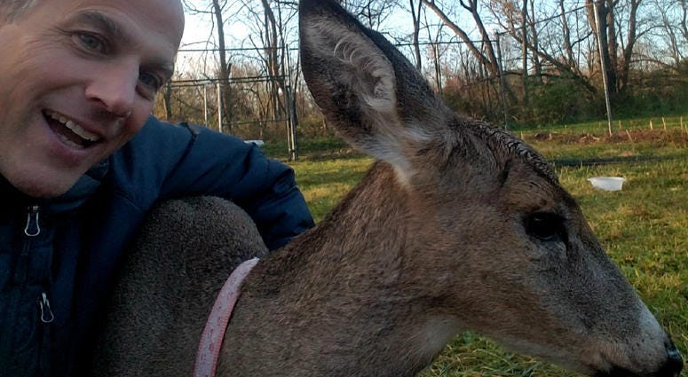 Marty Gerdisch and his deer, Abigail Marty Gerdisch and his deer, Abigail