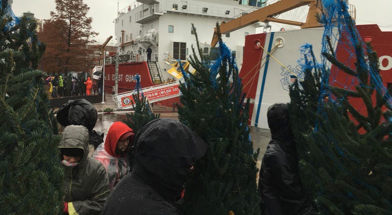 Christmas trees