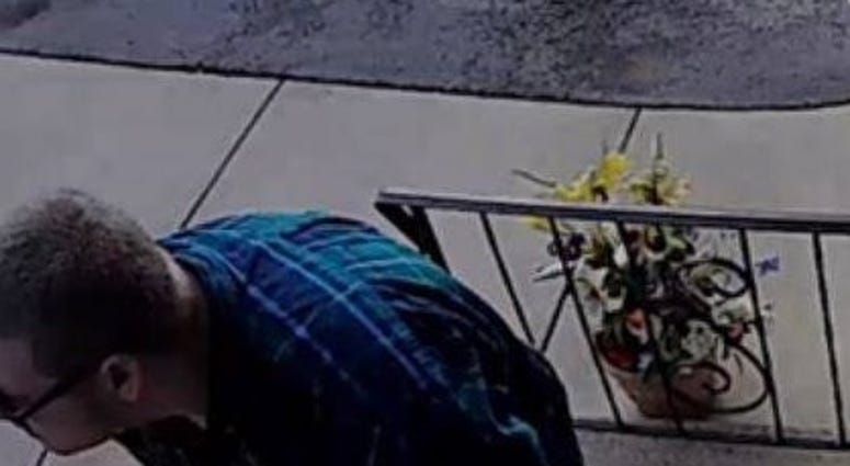 Package Thief Package Thief