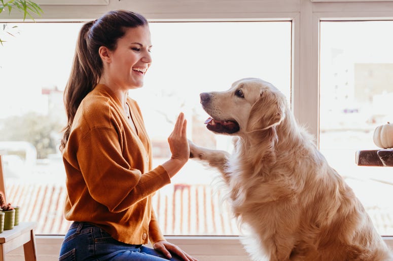 iStock / Getty Images iStock / Getty Images