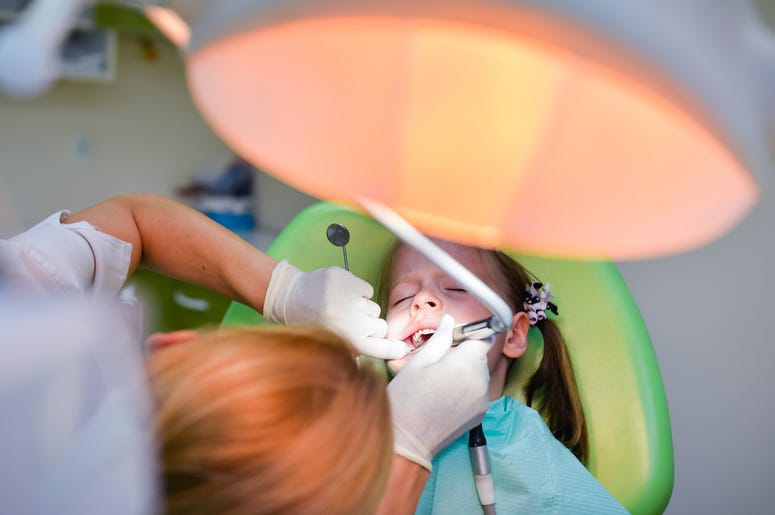Dentist Dentist