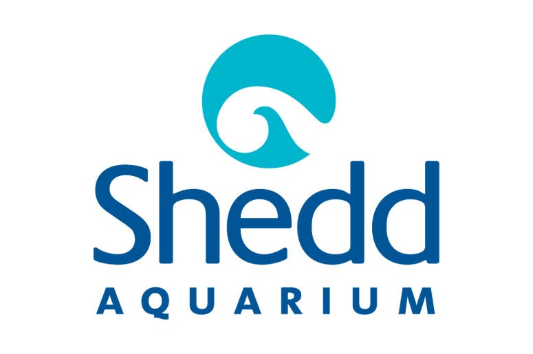 Shedd